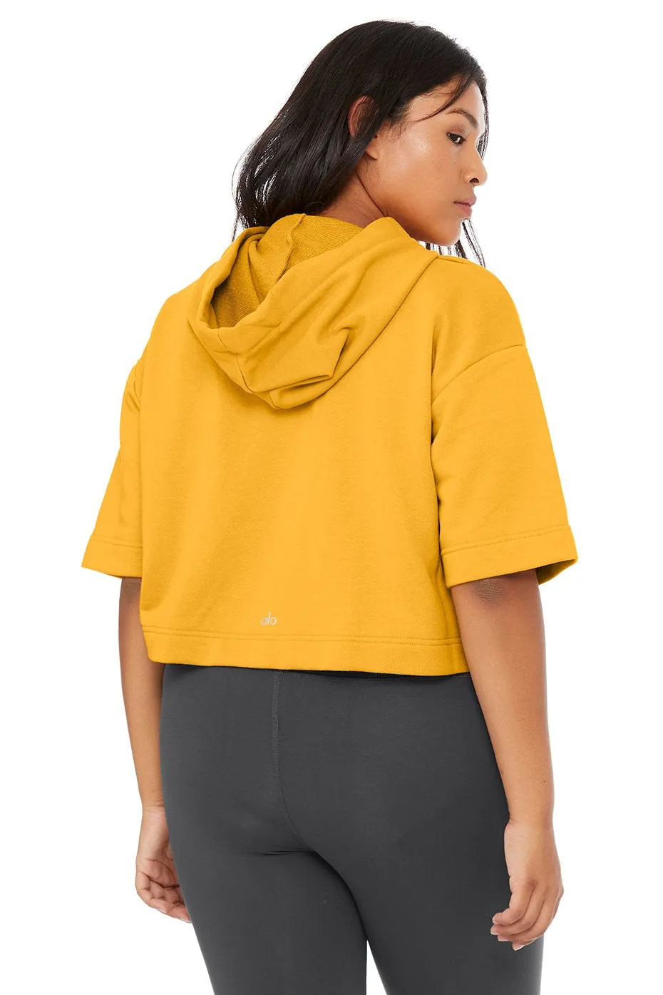 Air Land Ocean Short Sleeve Crop Hoodie